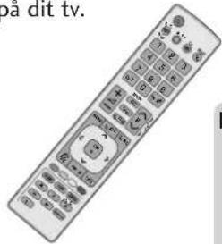 bà dit tv.