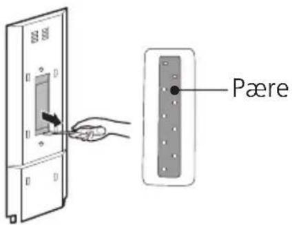 Pære