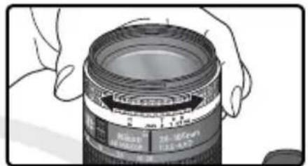NIKON D70s - 电子平视取景器 - 2