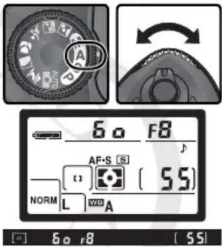 NIKON D70s - A: 光圈优先自动 - 1
