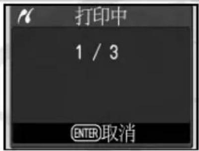 NIKON D70s - 打印当前打印指令 - 3