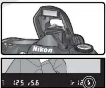NIKON D70s - 重要 - 2