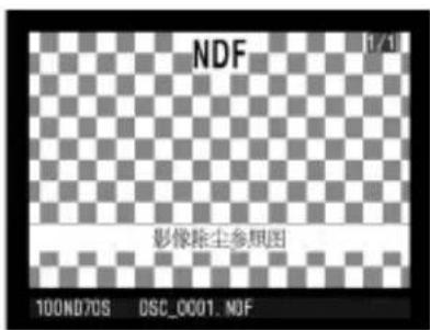 NIKON D70s - 图像除尘参考文件 - 1