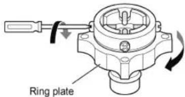 Ring plate