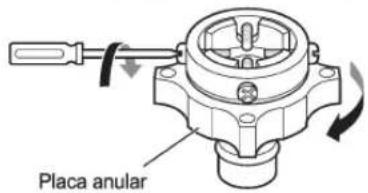Placa anular