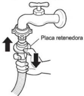 Placa retenedora