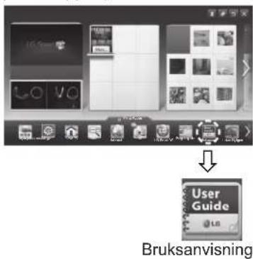 Bruksanvisning