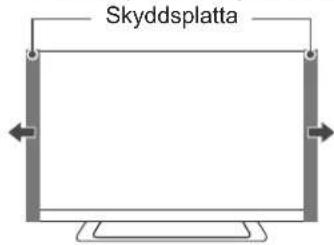 Skyddsplatta
