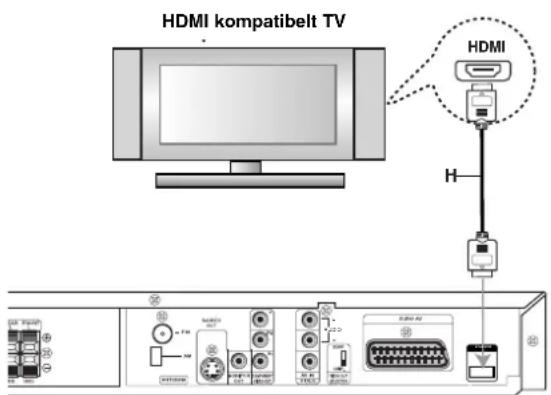 HDMI kompatibelt TV HDMI
