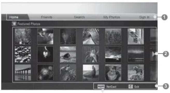 Home Friends Search My Photos Sign In Featured Photos NetCast Exit