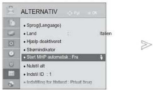 ALTERNATIV • Sprog(Language) • Land : Italien • Hjælp deaktiveret • Strømindikator • Start MHP automatisk : Fra • Nulstil alt • Indstil ID : 1 • Indstilling for listand - Privat drug