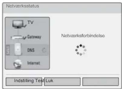 Netværksstatus TV Gateway DNS Internet Netværksforbindelse Indstilling Test Luk