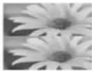 LG 47LW550W - Visning af 3D-billeder - 3