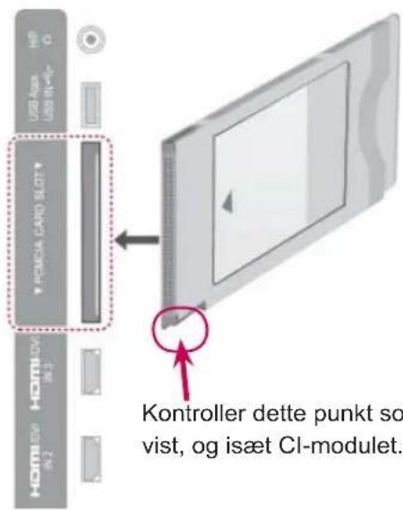USB Asia USB in <6> * POMA CARD SLOT HOMILOW HOMILOW IN2 Kontroller dette punkt so vist, og isæt Cl-modulet.
