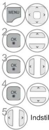 1 MENU 2 OK 3 OK 4 OK 5 Indstil