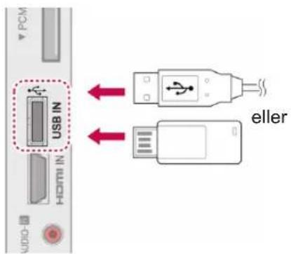 PCM USB IN HDMI IN Audio- eller