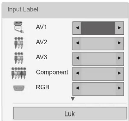 Input Label AV1 AV2 AV3 Component RGB Luk