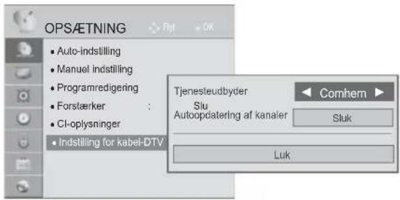 OPS/ETNING Auto-indstilling Manuel indstilling Programredigering Forsterker : CI-oplysninger Indstilling for kabel-DTV Tjenesteudbyder Slu Autoopdatering af kanaler Sluk Luk