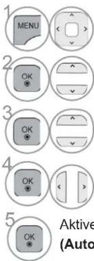 1 MENU 2 OK 3 OK 4 OK 5 AKtive (Auto)
