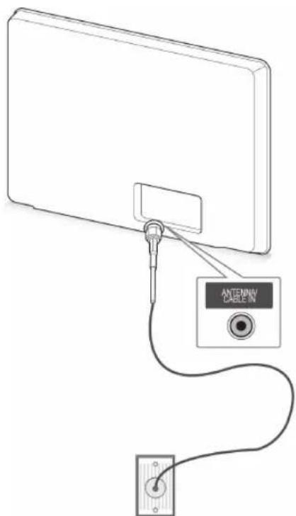 ANTENOMY CABLE IN