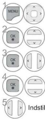 1 MENU 2 OK 3 OK 4 OK 5 Indstil