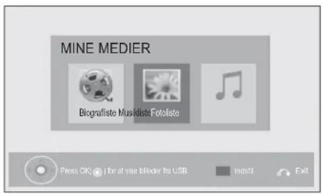 MINE MEDIER Biografiste Musikliste Fotoliste Press OK! I for at vise bilieder fra USB. Instal. Exit