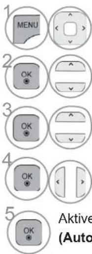 1 MENU 2 OK 3 OK 4 OK 5 OK Aktive (Auto)
