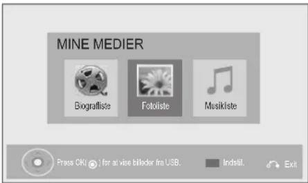 MINE MEDIER Biogralliste Fotoliste Musikiste Press OK! / for at vise billeder fra USB. Indelii. Exit