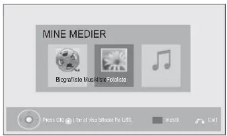 MINE MEDIER Biografiste Musikliste Fotolista Press OK! I for at vise biläcker fra USB. Indsltl. Exit