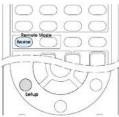 Remote Mode Beginner Setup