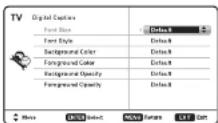 SANYO DP50843 - Digital Caption - 1