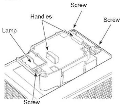 Lamp Handles Screw Screw Screw