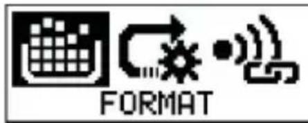 FORMAT