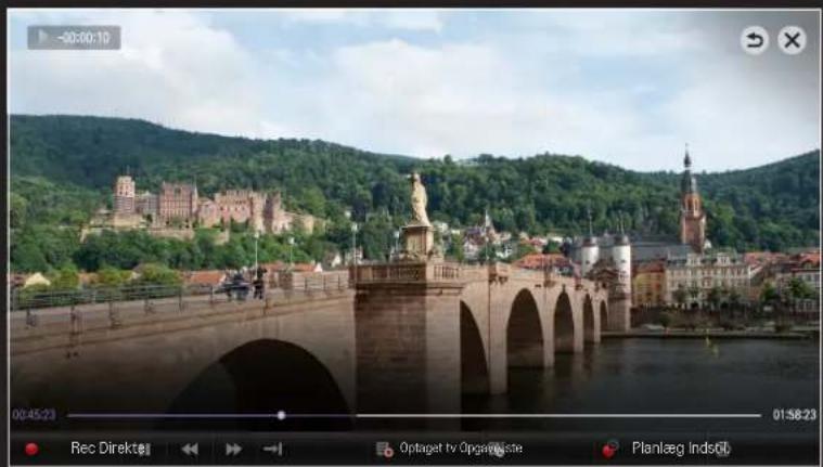 LG 60PH670V - ☐ Sådan bruger du funktionen Tidsskift (afspilning i realtid) - 1