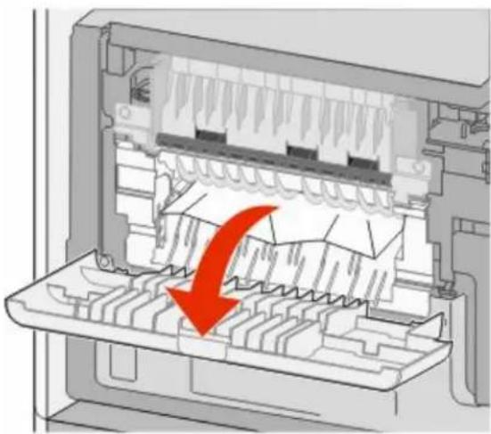 DELL 5535DN - papirstop - 1
