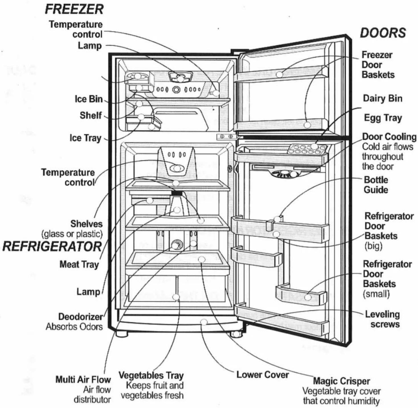 FREEZER Temperature control Lamp Ice Bin Shelf Ice Tray Temperature control Shelves (glass or plastic) REFRIGERATOR Meat Tray Lamp Deodorizer Absorbs Odors Multi Air Flow Air flow distributor Vegetables Tray Keeps fruit and vegetables fresh DOORS Freezer Door Baskets Dairy Bin Egg Tray Door Cooling Cold air flows throughout the door Bottle Guide Refrigerator Door Baskets (big) Refrigerator Door Baskets (small) Leveling screws Lower Cover Magic Crisper Vegetable tray cover that control humidity