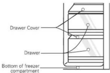 LG GS65SPP1 - Freezer Compartment - 1