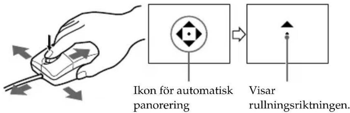 Ikon för automatisk panorering Visar rullningsriktningen.