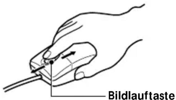 Bildlauftaste