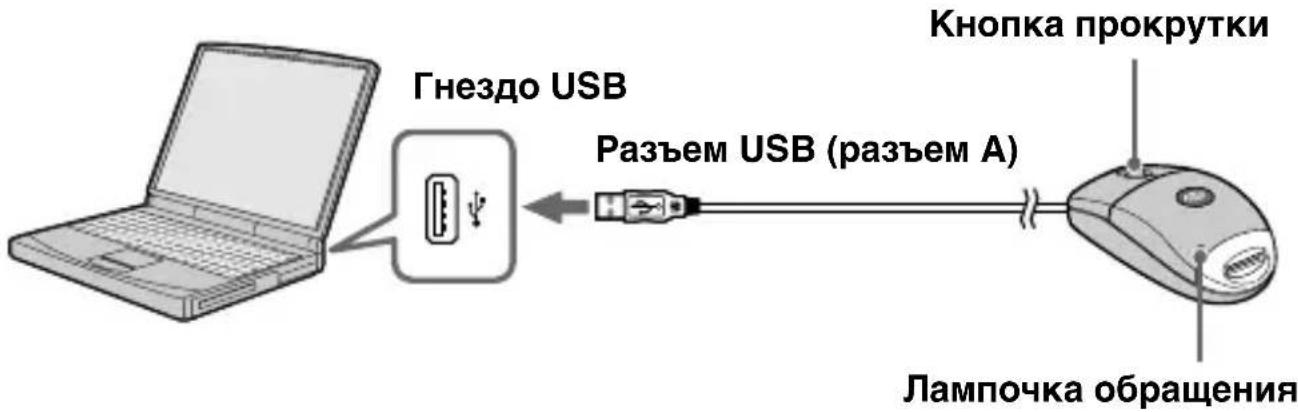 Гнездо USB Разъем USB (разъем A) Кнопка прокрутки Лампочка обращения