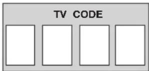 TV CODE