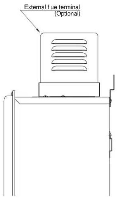 External flue terminal (Optional)