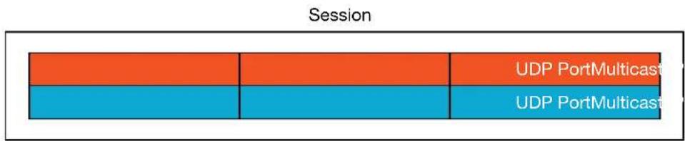 Session UDP PortMulticast UDP PortMulticast