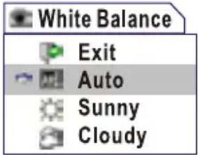 White Balance Exit Auto Sunny Cloudy