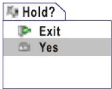 Hold? Exit Yes