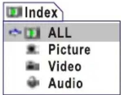 Index ALL Picture Video Audio