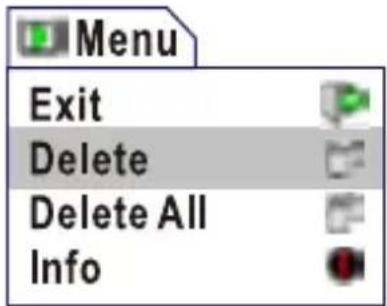 Menu Exit Delete Delete All Info