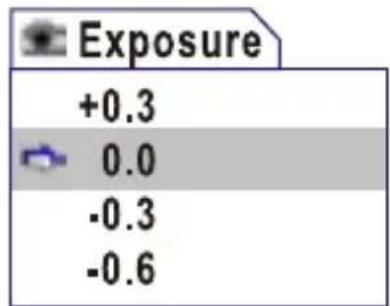 Exposure +0.3 0.0 -0.3 -0.6