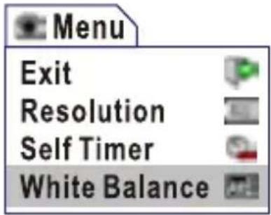 Menu Exit Resolution Self Timer White Balance