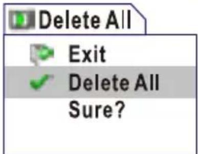 Delete All Exit Delete All Sure?